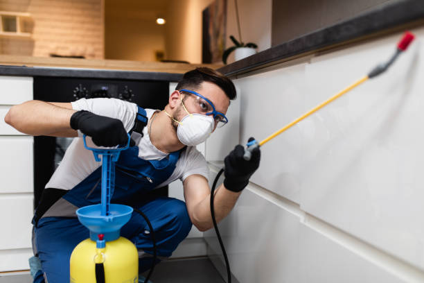 Best Rat Extermination Near Me  in Colonial Heights, TN