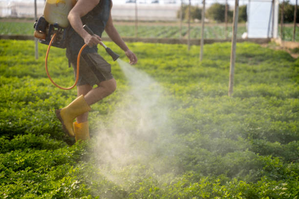 Best Commercial Pest Control Services  in Colonial Heights, TN