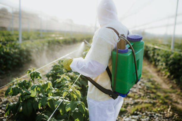 Best Wasp Removal Services  in Colonial Heights, TN
